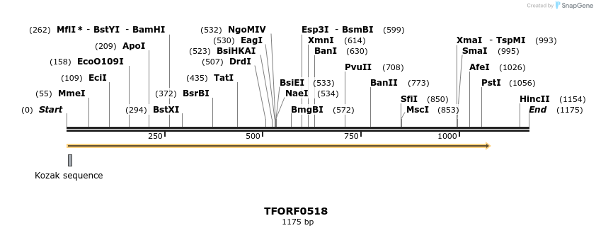 277021_map