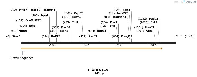 277024_map