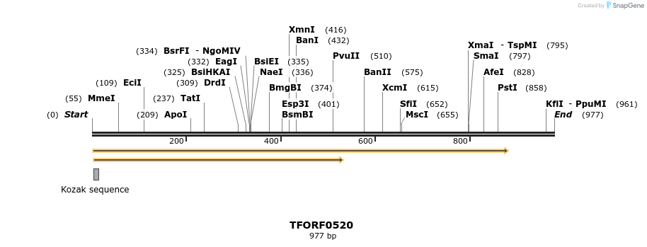 277027_map