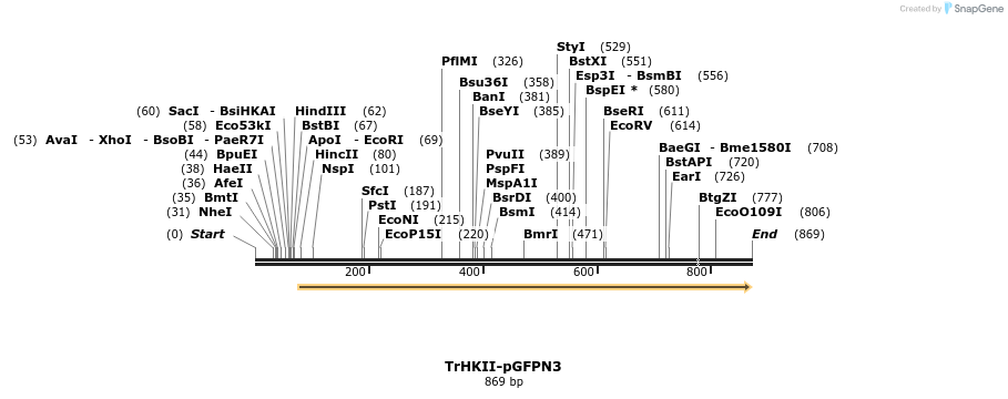 27703_map