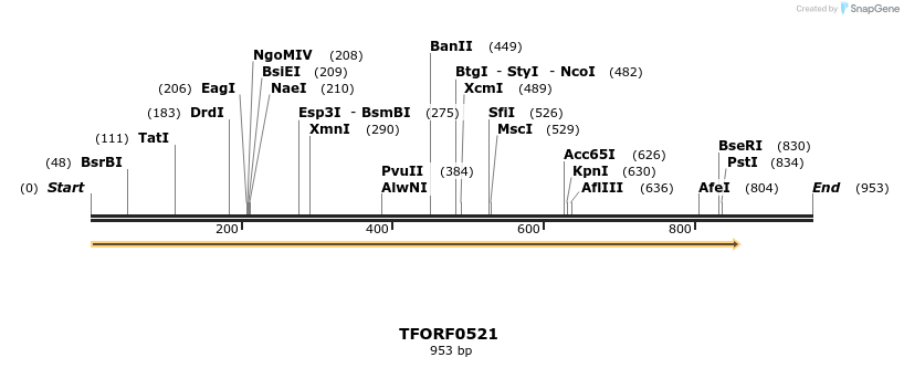 277030_map