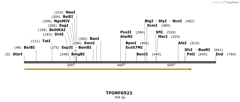 277033_map
