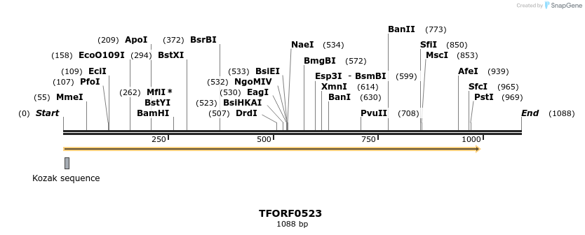 277036_map
