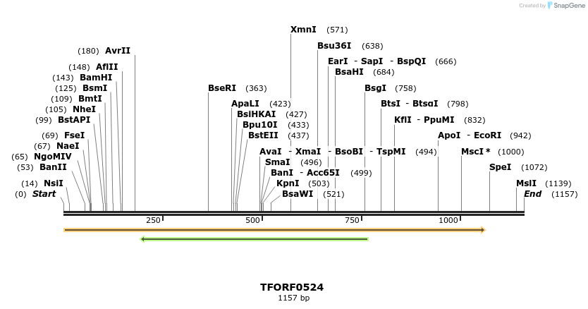 277039_map