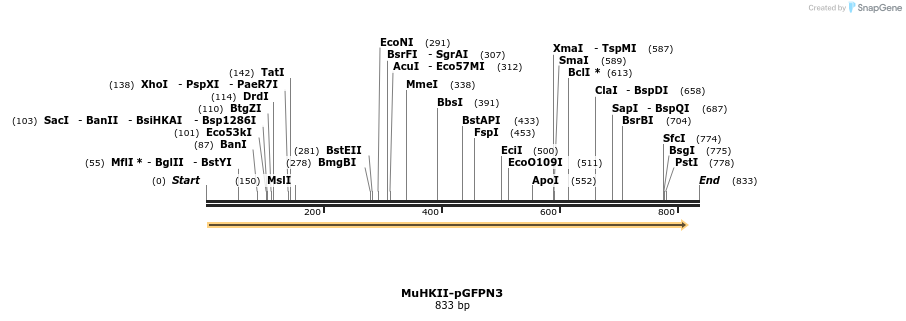 27704_map