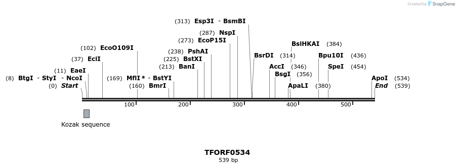 277045_map