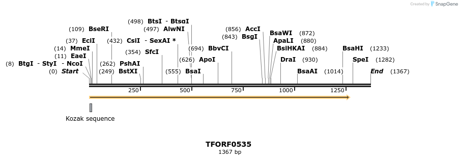 277048_map