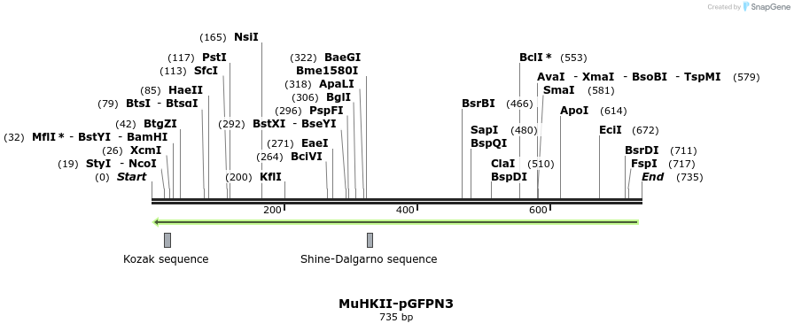 27705_map