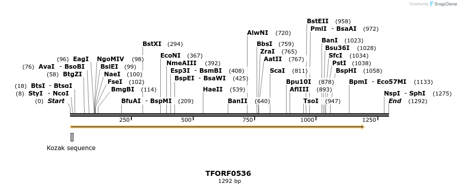 277051_map