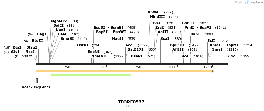 277054_map