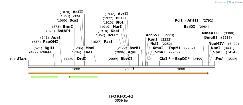 277057_map