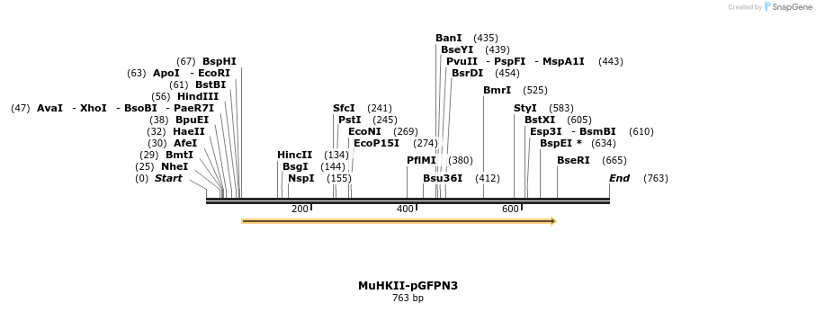 27706_map