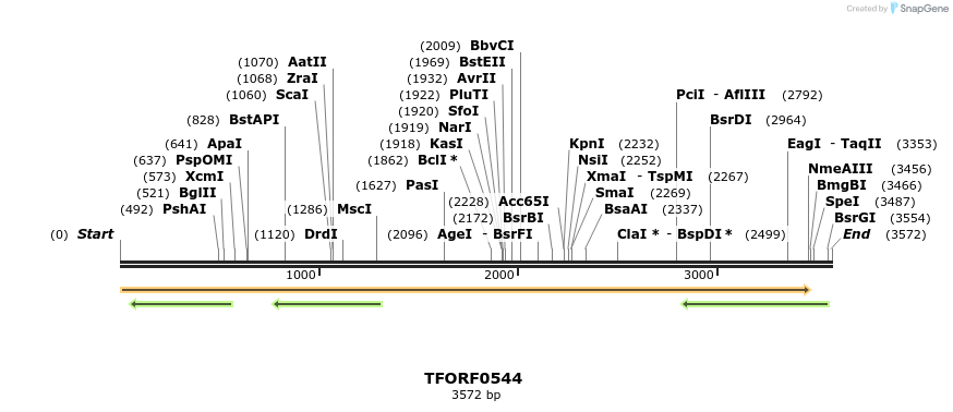 277060_map