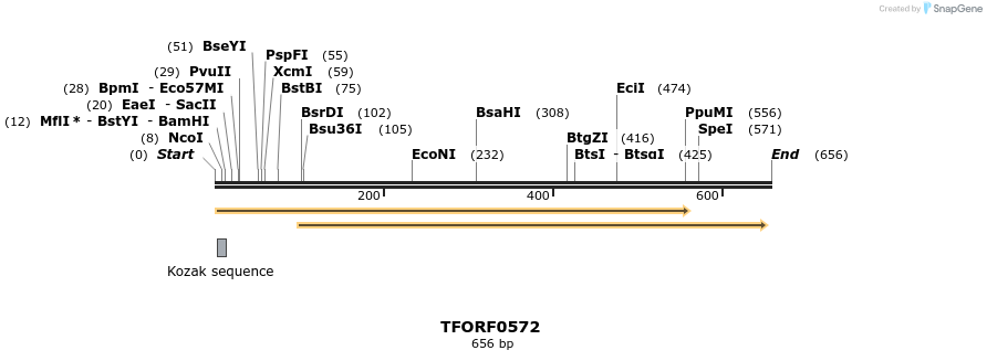 277063_map