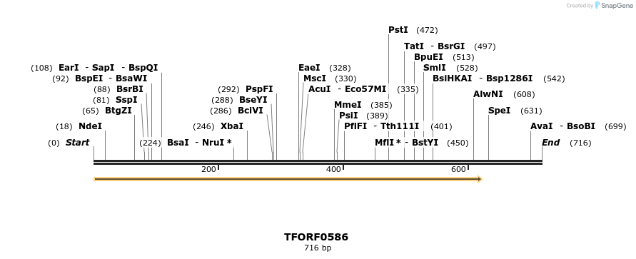 277066_map