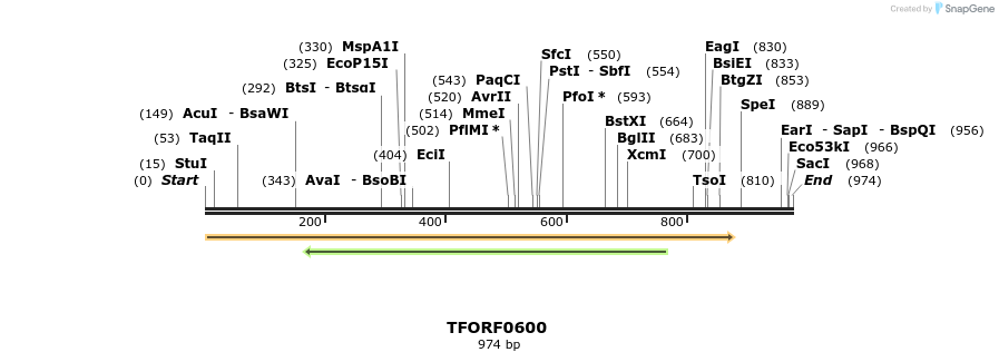 277069_map
