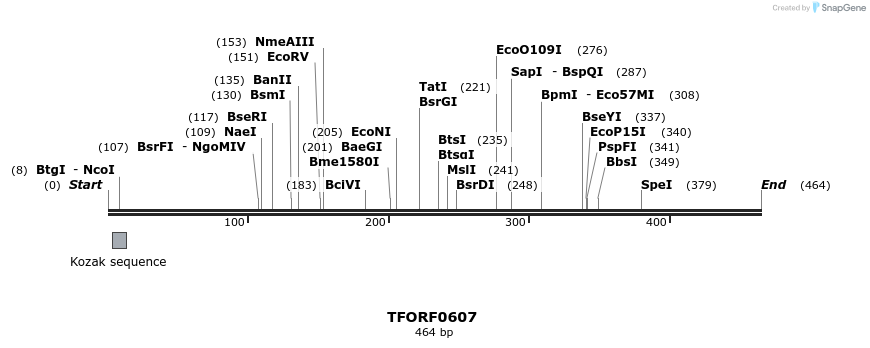 277072_map