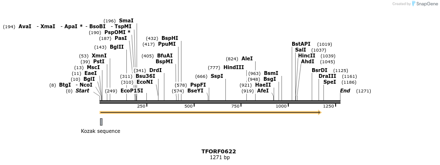 277075_map