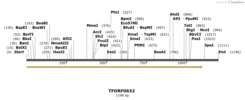 277078_map