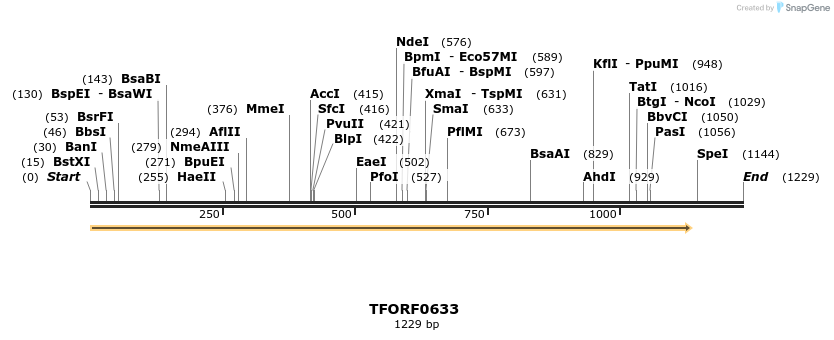 277081_map