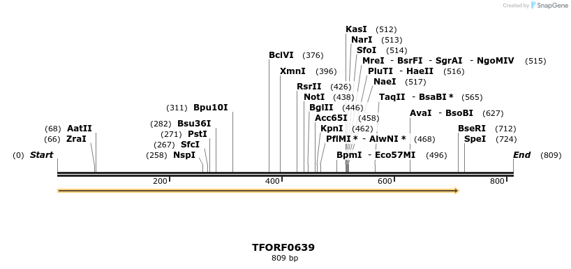 277084_map