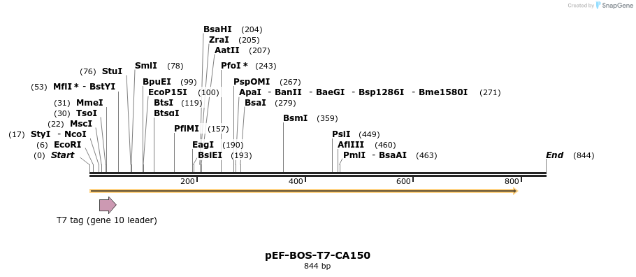 27709_map