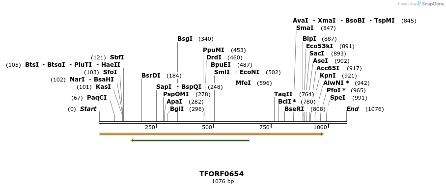 277093_map