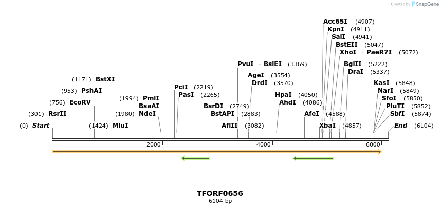 277096_map