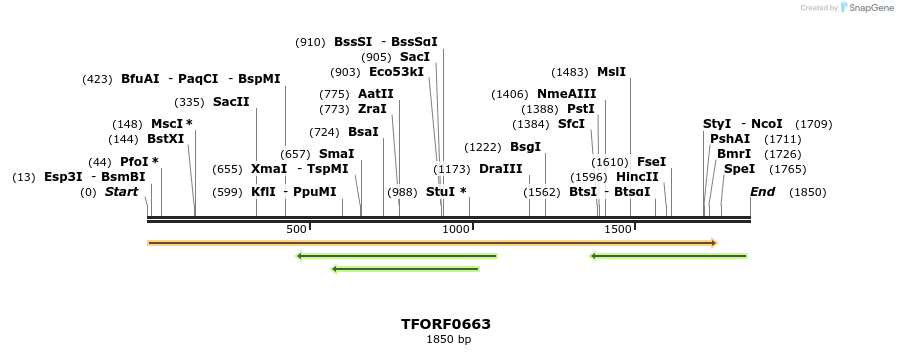 277099_map
