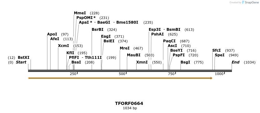 277102_map