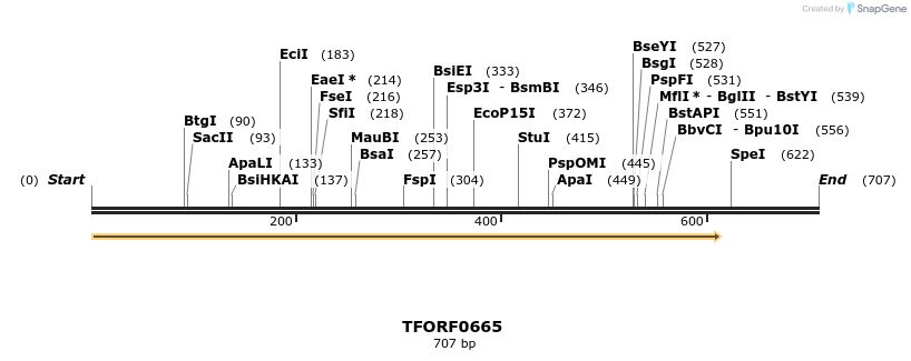 277105_map