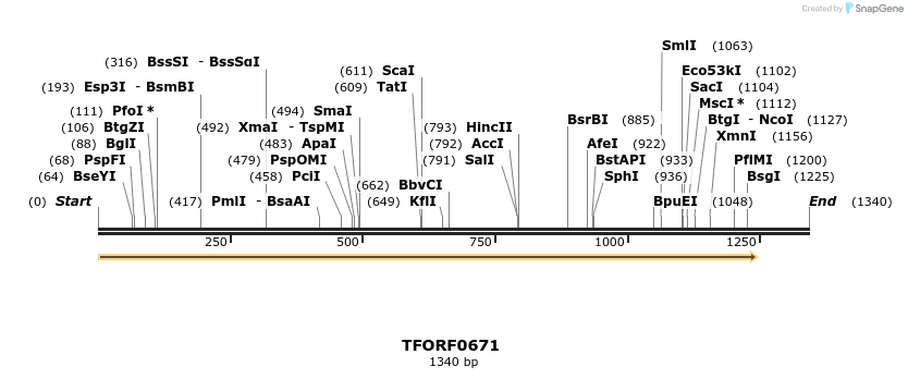 277108_map