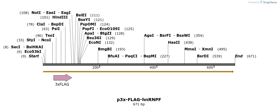27711_map