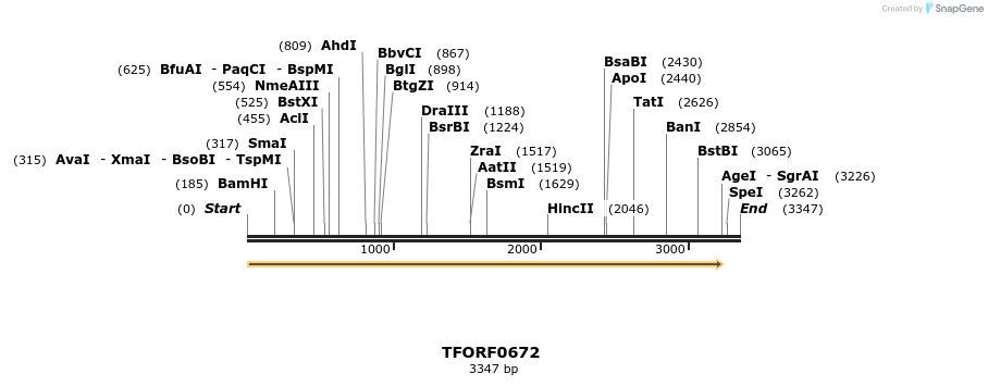 277111_map