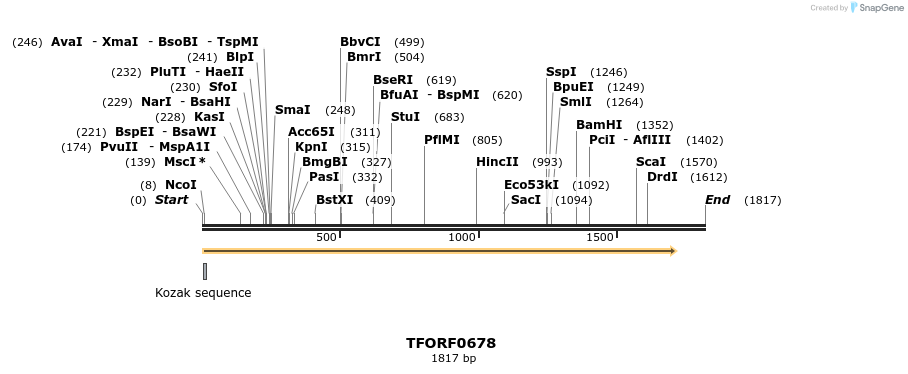 277117_map