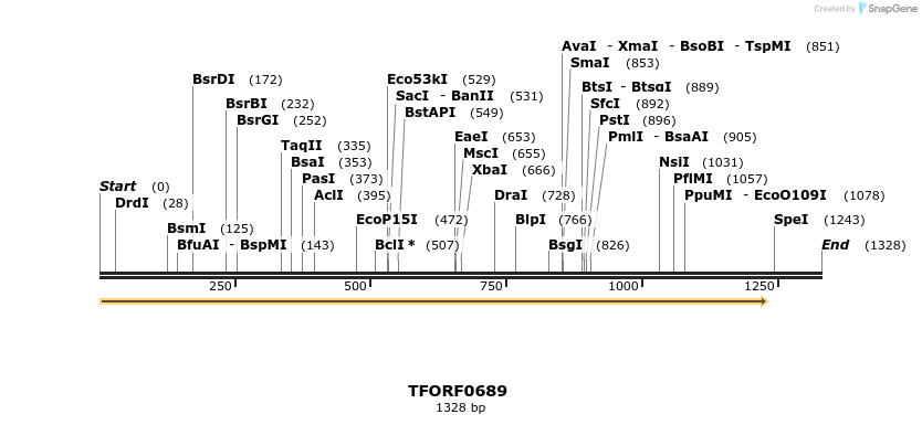 277123_map