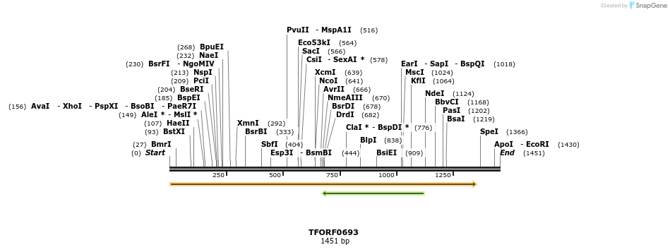 277126_map