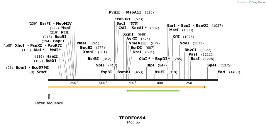 277129_map