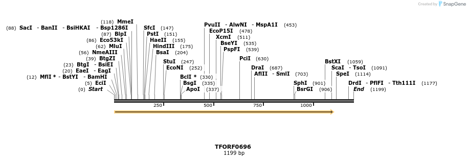 277132_map