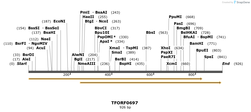 277135_map
