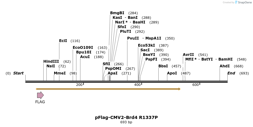 27714_map