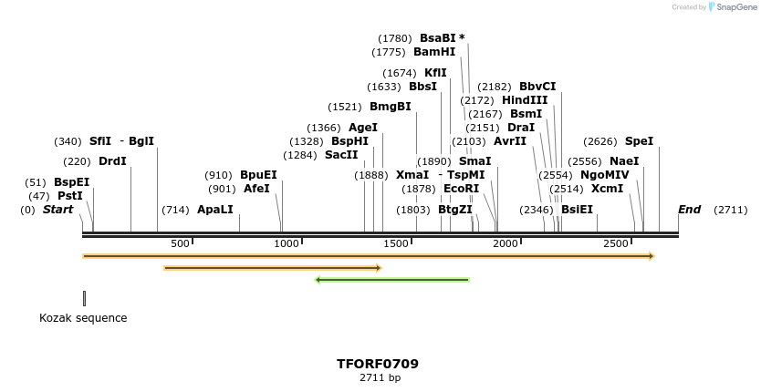 277144_map