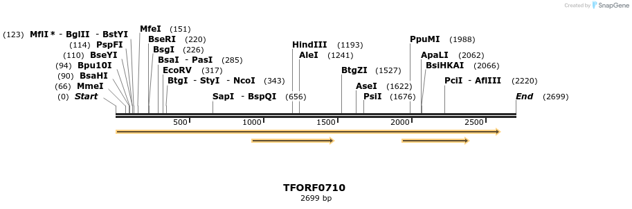 277147_map