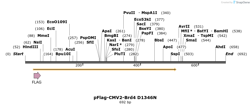 27715_map