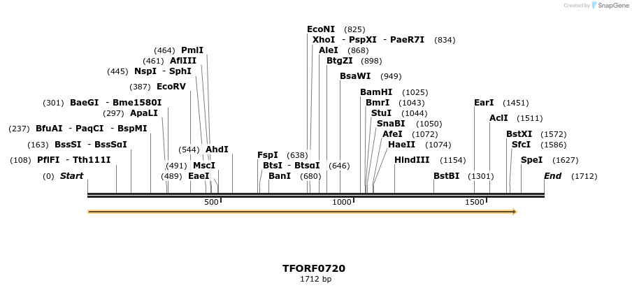 277153_map