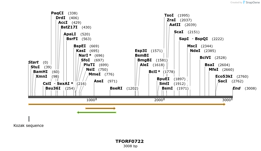 277156_map
