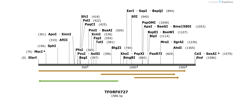 277159_map