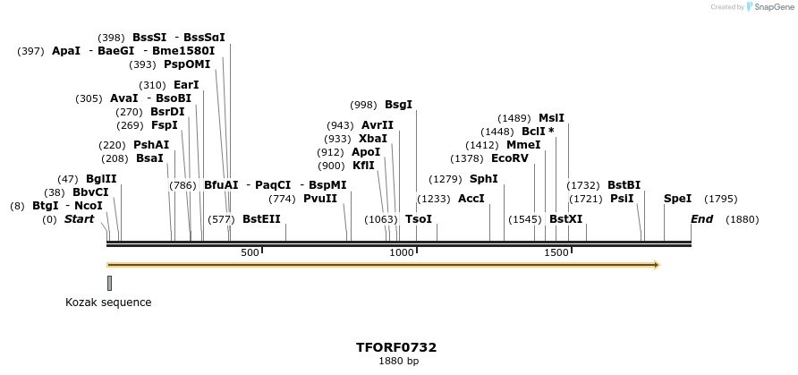 277162_map