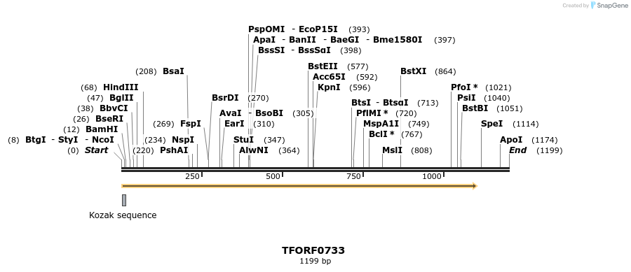 277165_map