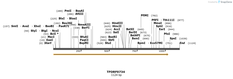 277168_map